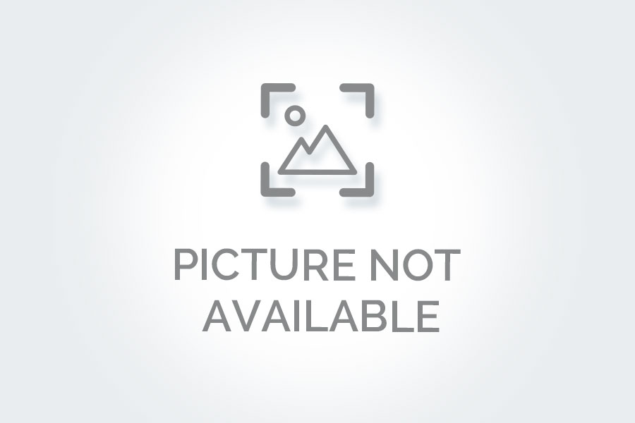 Don't Stray Animals Deserve Better?